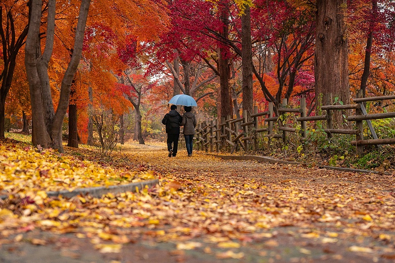 公園視頻監控系統